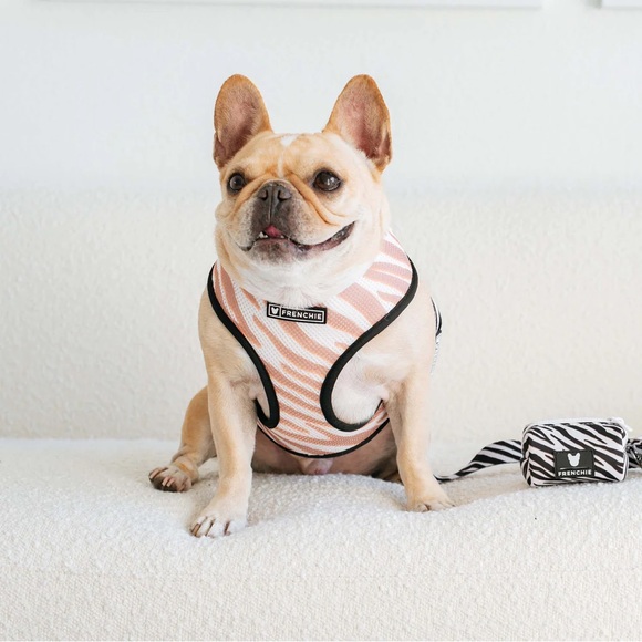 Frenchie Bulldog Duo Reversable Zebra Dog Harness/Leash/Bag Holder/Collar Set - Picture 2 of 4
